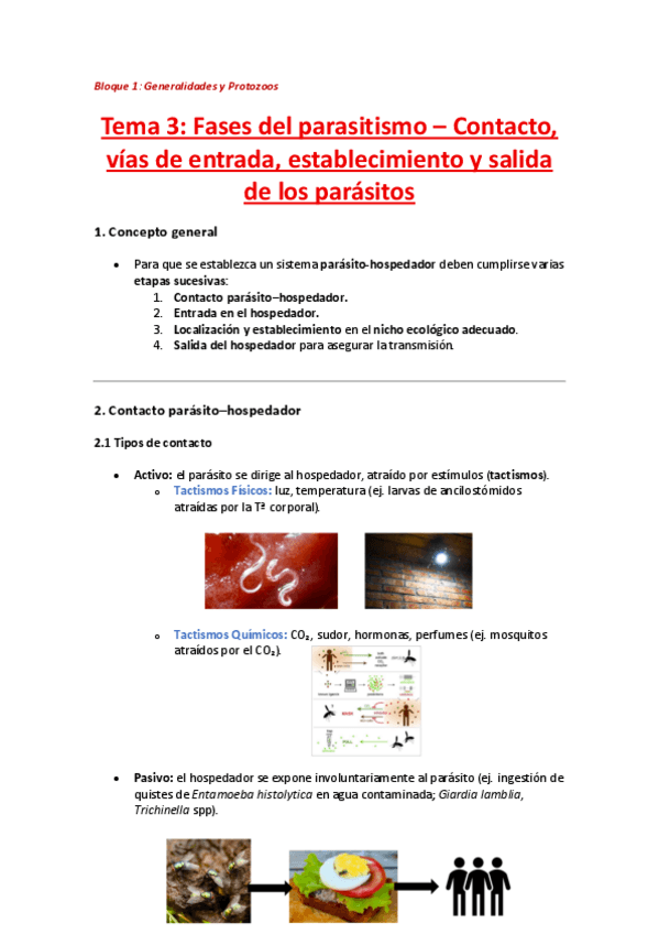 Miniatura del documento Tema-3-Fases-del-parasitismo.pdf