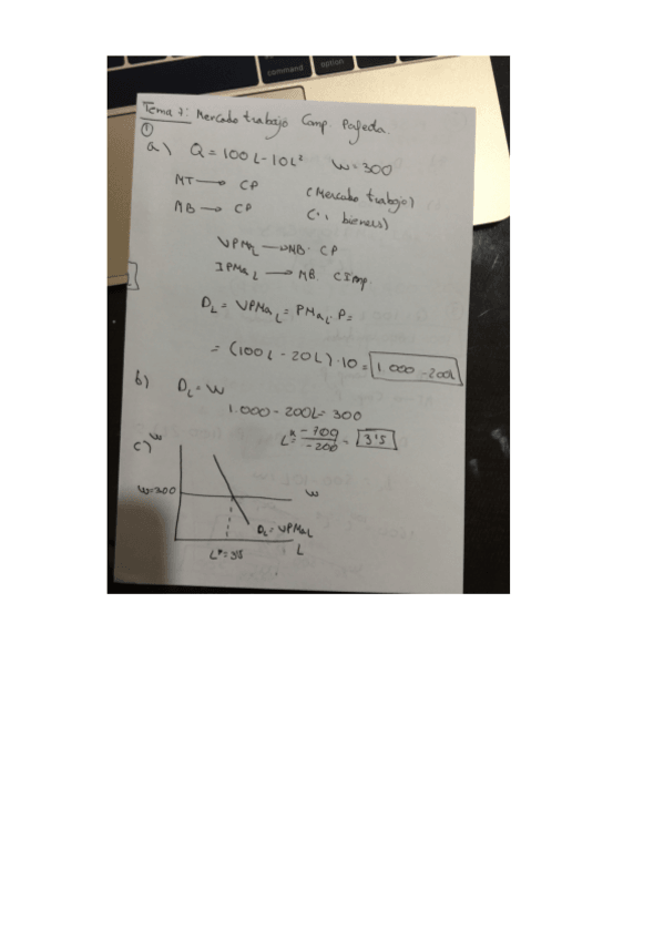 Miniatura del documento tema 7.pdf