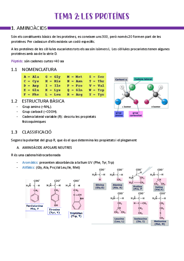 Miniatura del documento BLOC-I-T2-Proteines.pdf