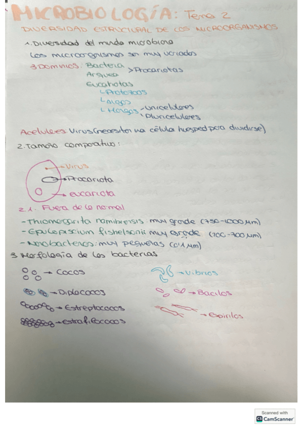 Miniatura del documento Micro-tema-2.pdf