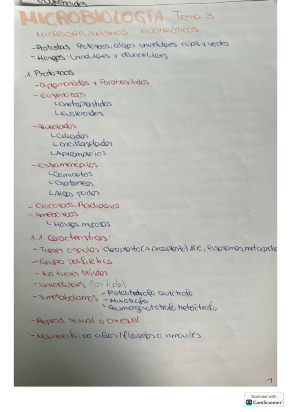 Miniatura del documento Micro-tema-3.pdf