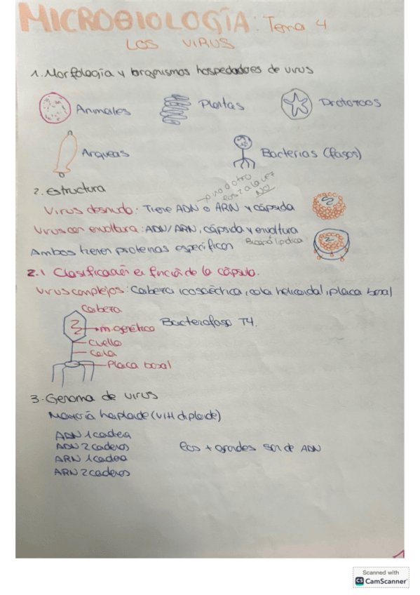 Miniatura del documento Micro-tema-4.pdf