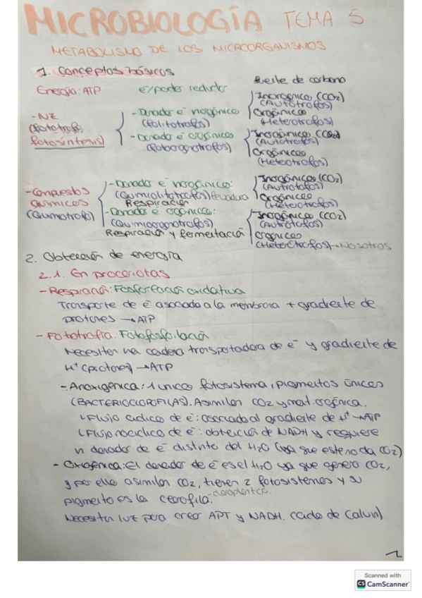 Miniatura del documento Micro-tema-5.pdf