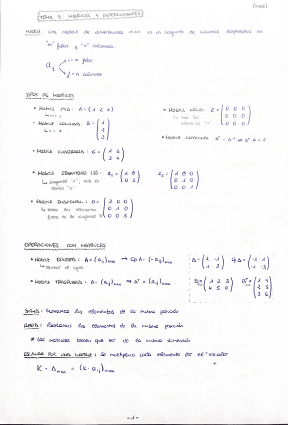 Miniatura del documento Tema-5-Matrices-y-determinantes.pdf