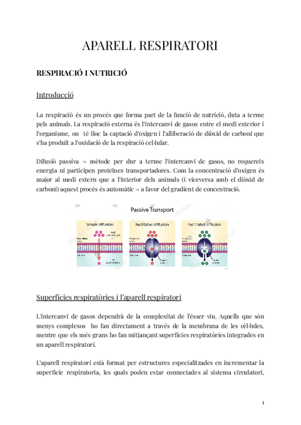 Miniatura del documento 1r-BAT-APARELL-RESPIRATORI.pdf