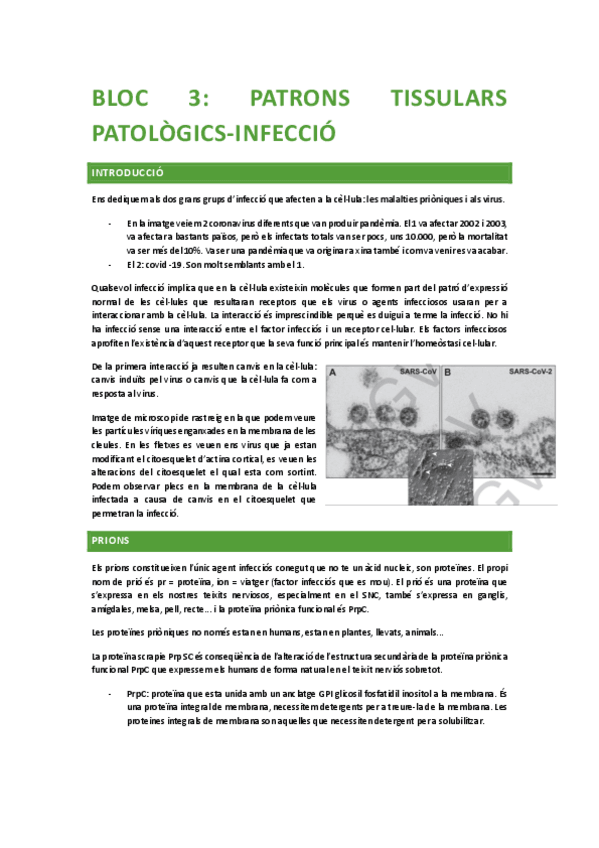 Miniatura del documento Bloc-3-patros-tissulars-patologics-Infeccio.pdf