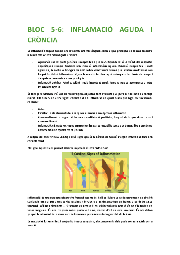 Miniatura del documento Blooc-5-i-6-inflamacio-aguda-i-cronica.pdf