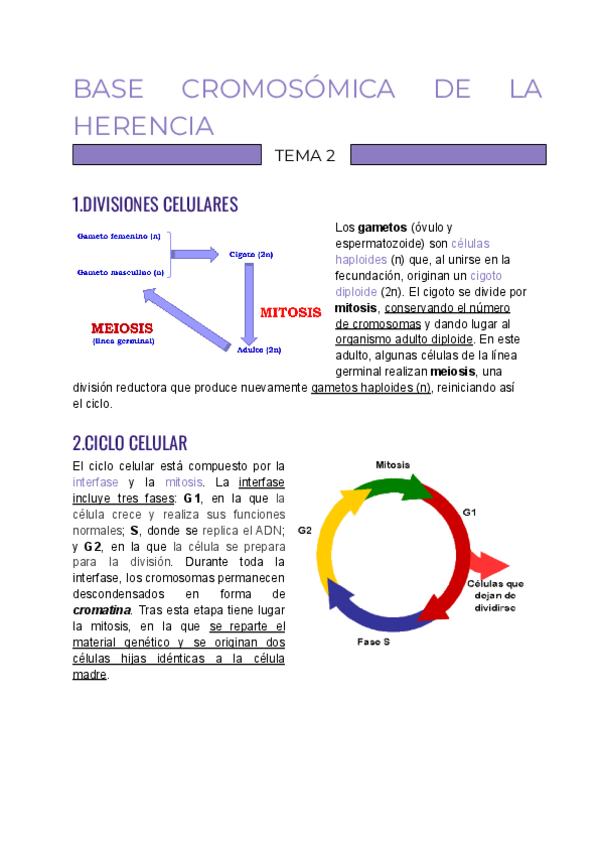 Miniatura del documento TEMA-2-GENETICA-base-cromosomica-de-la-herencia.pdf
