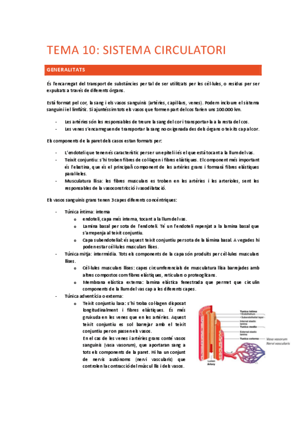 Miniatura del documento Tema-10-sistema-circulatori.pdf