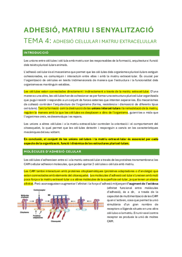 Miniatura del documento Bloc-2-adhesio-matriu-i-senyalitzacio.pdf