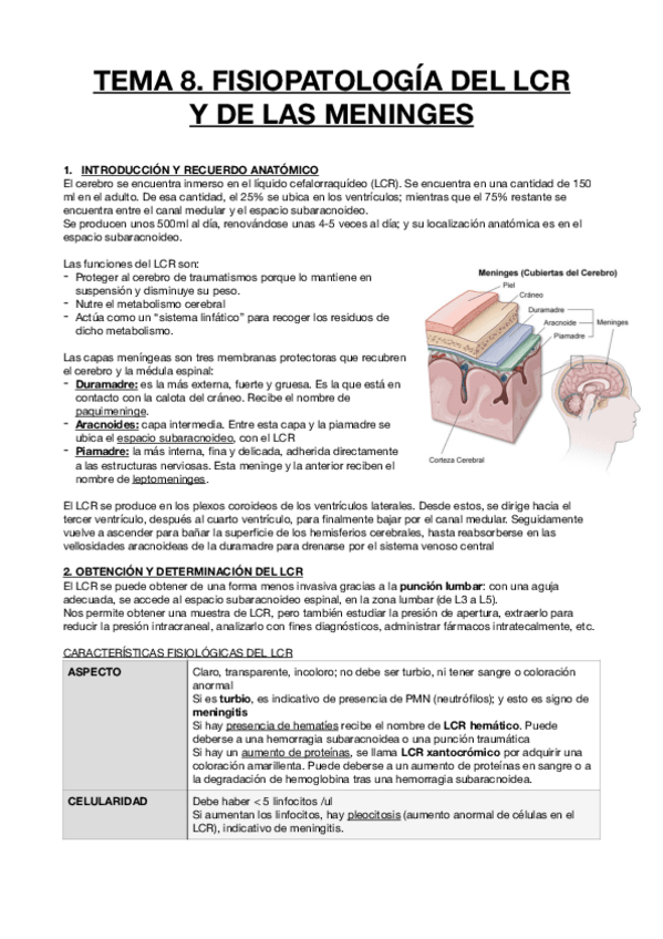 Miniatura del documento LCR-y-meninges.pdf