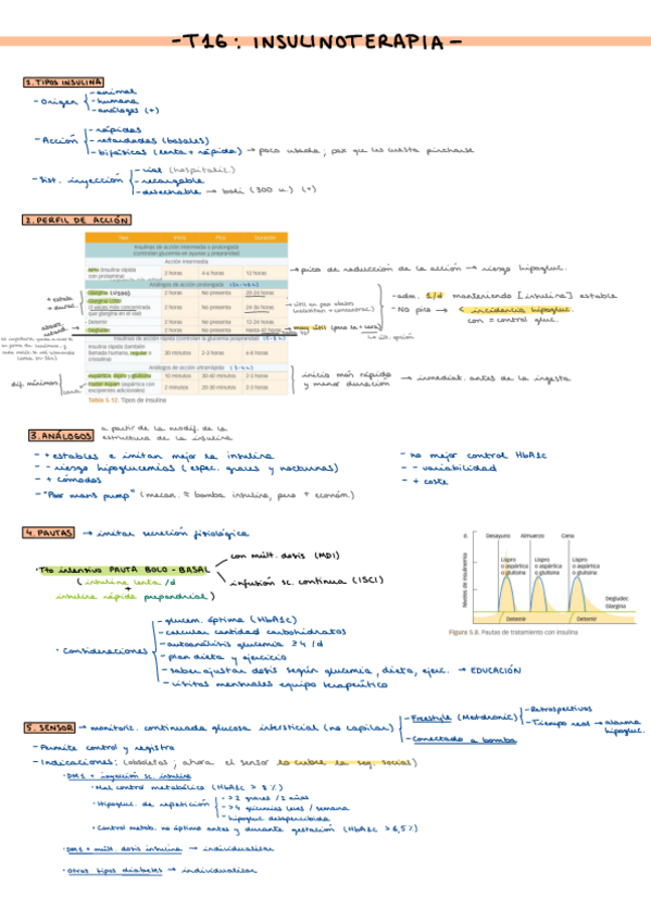 Miniatura del documento T16INSULONOTERAPIA-.pdf