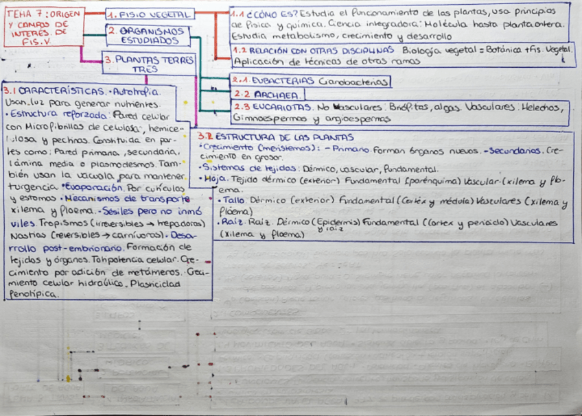 Miniatura del documento Mapas-conceptuales-y-dibujitos-FIS.-A-y-FIS.-V.pdf