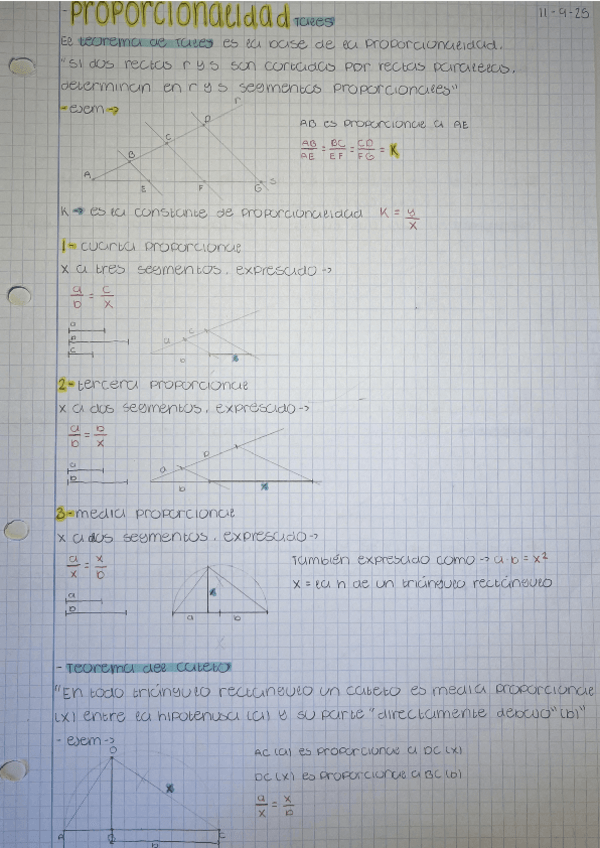 Miniatura del documento proporcionalidad.pdf