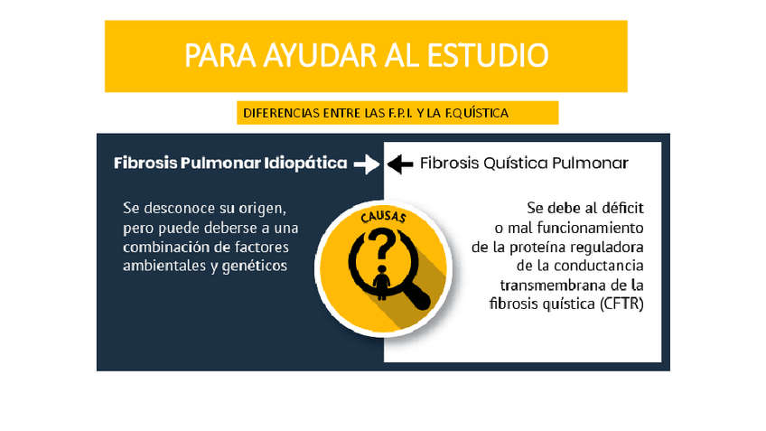 Miniatura del documento DIAGNOSTICO-DIFERENCIAL-ENTRE-LA-FIBROSIS-PULMONAR-Y-FIBROSIS-QUISTICA.pdf