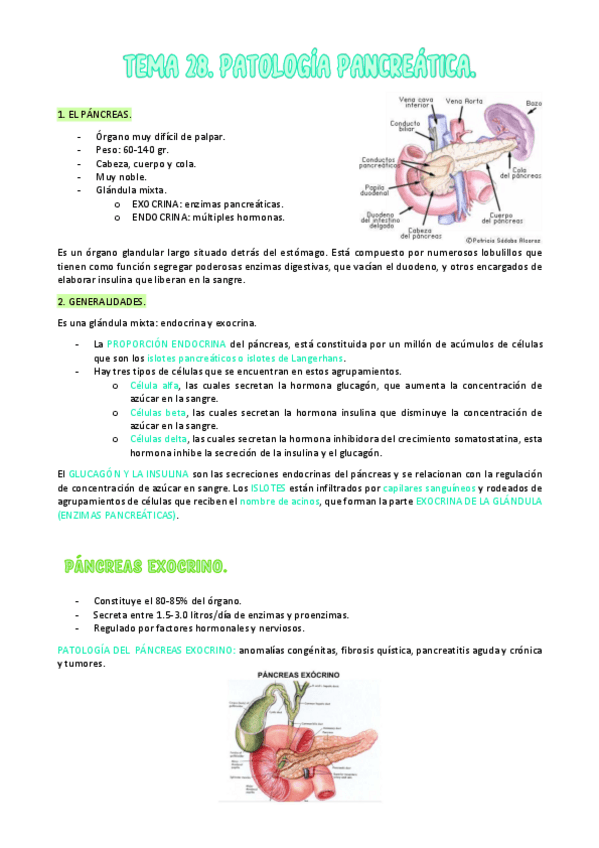 Miniatura del documento TEMA-28.-PATOLOGIA-DEL-PANCREAS.pdf