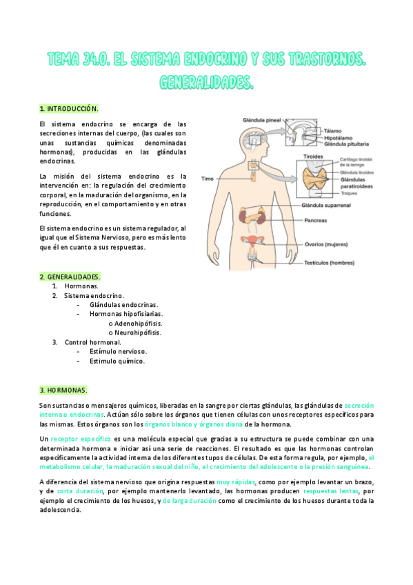 Miniatura del documento TEMA-34.0.-INTRODUCCION-ENDOCRINO.pdf