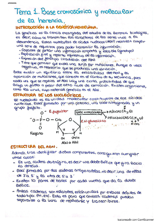 Miniatura del documento tema-uno-genetica.pdf