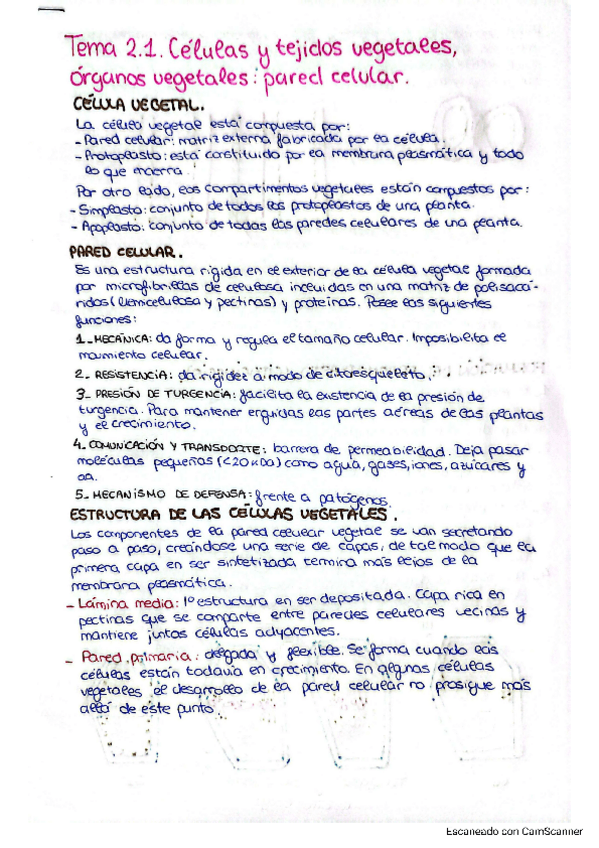 Miniatura del documento tema-dos-bch.pdf