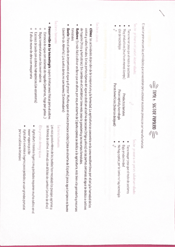 Miniatura del documento sector-primario.pdf