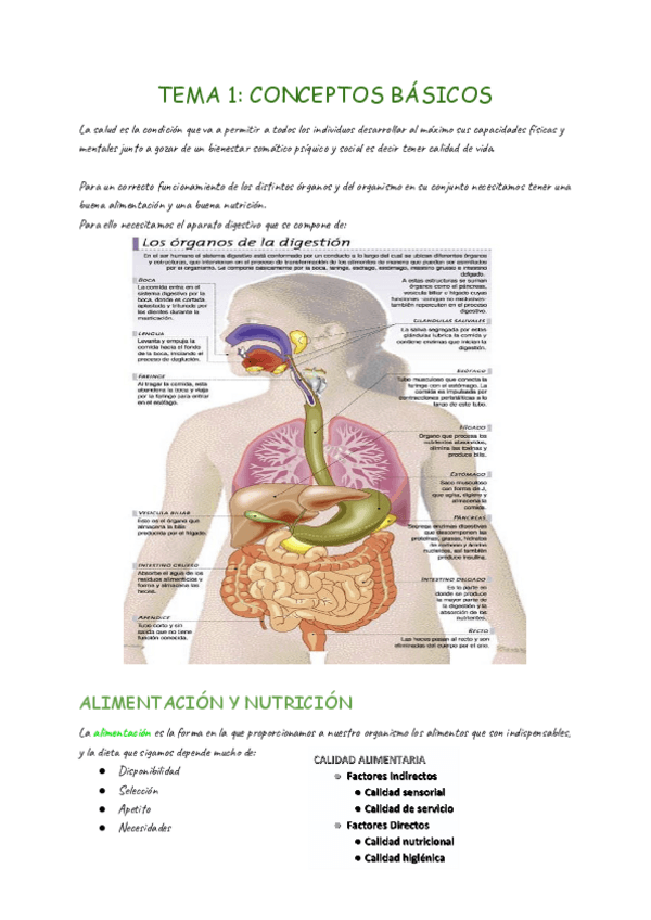 Miniatura del documento NUTRICION-Y-DIETETICA-TEMA-1.pdf