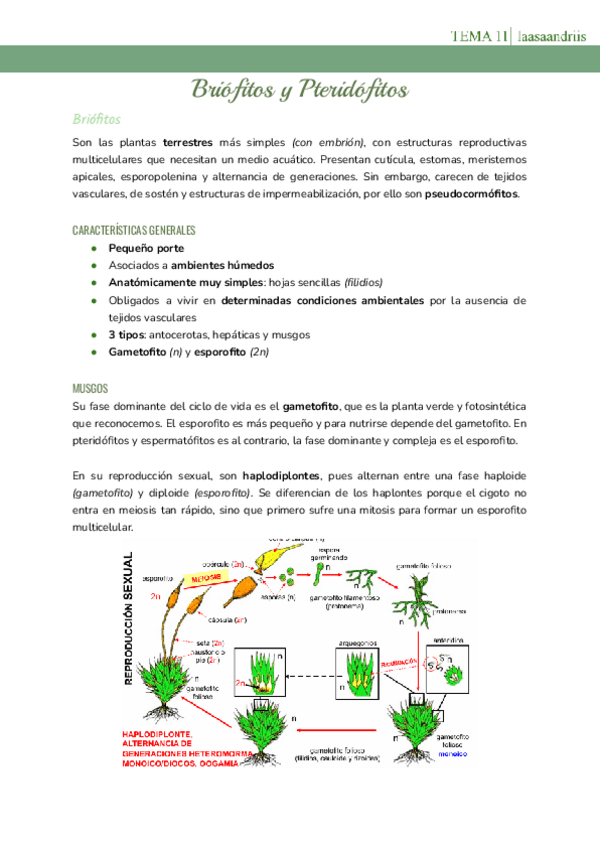 Miniatura del documento Tema-11-Briofitos-y-Pteridoofitos.pdf