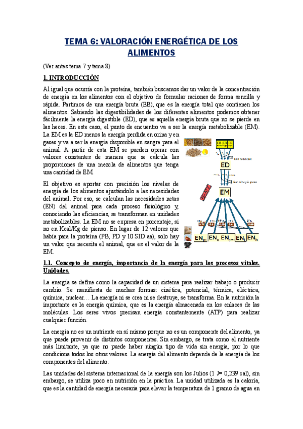 Miniatura del documento TEMA-6-Valoracion-energetica.pdf