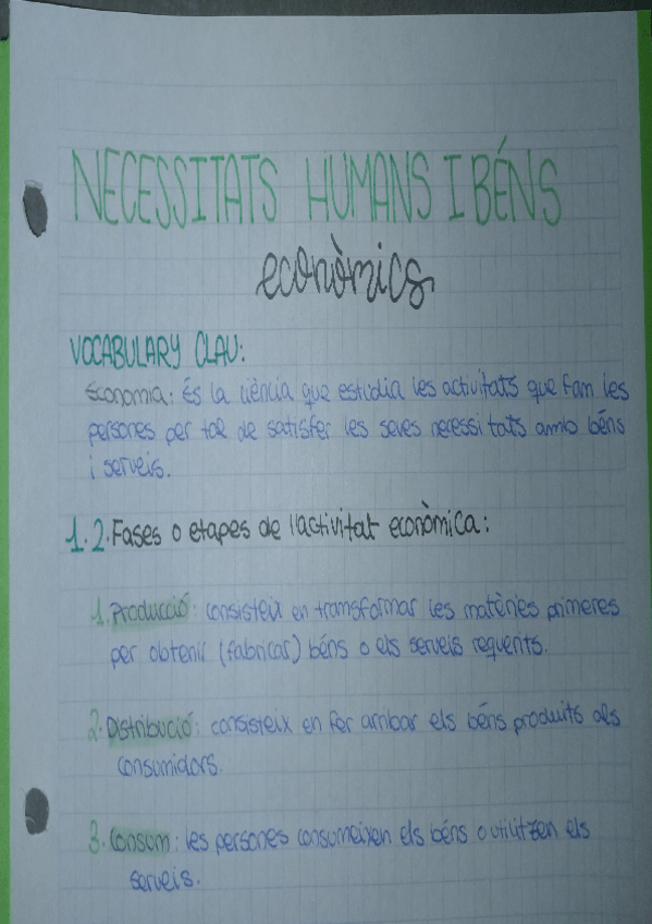 Miniatura del documento NECESSITATS-HUMANS-I-BENS-ECONOMICS.pdf