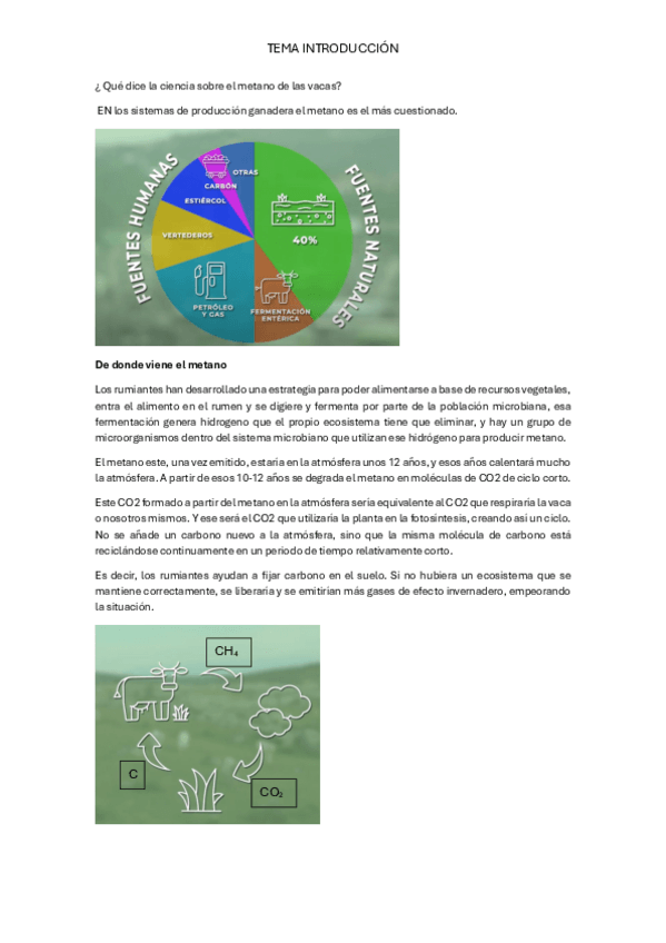 Miniatura del documento TEMA-INTRODUCCION.pdf
