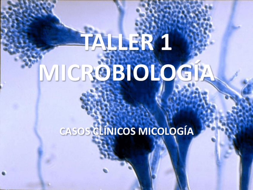 Miniatura del documento Taller-1AlumnosLM.pdf