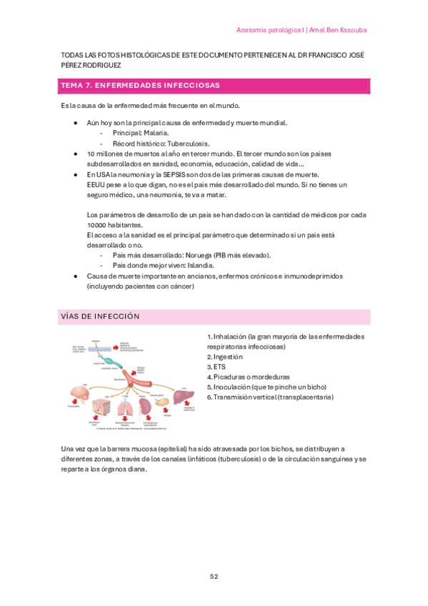 Miniatura del documento Anatomia-patologica-I-tema-7.pdf