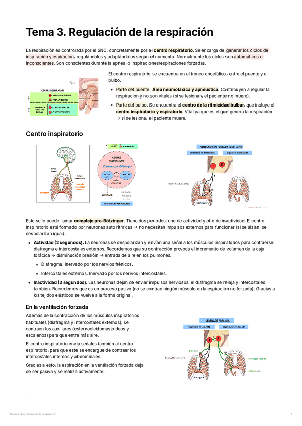 Miniatura del documento Tema 3. Regulación de la respiración.pdf