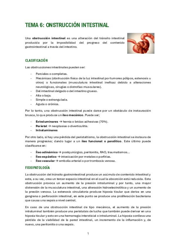 Miniatura del documento OBSTRUCCION-INTESTINAL.pdf