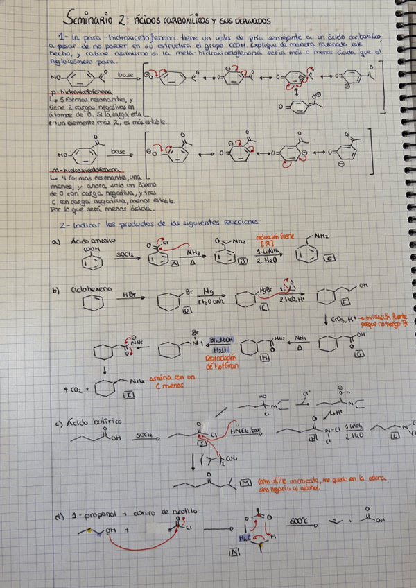 Miniatura del documento Resolucion-seminario-2.pdf
