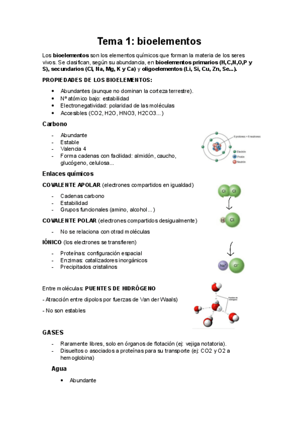 Miniatura del documento Apuntes-biologia-clau.pdf