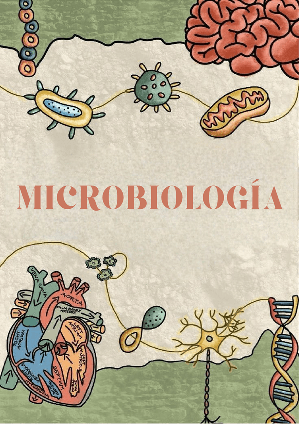 Miniatura del documento APUNTES-MICROBIOLOGIA.pdf