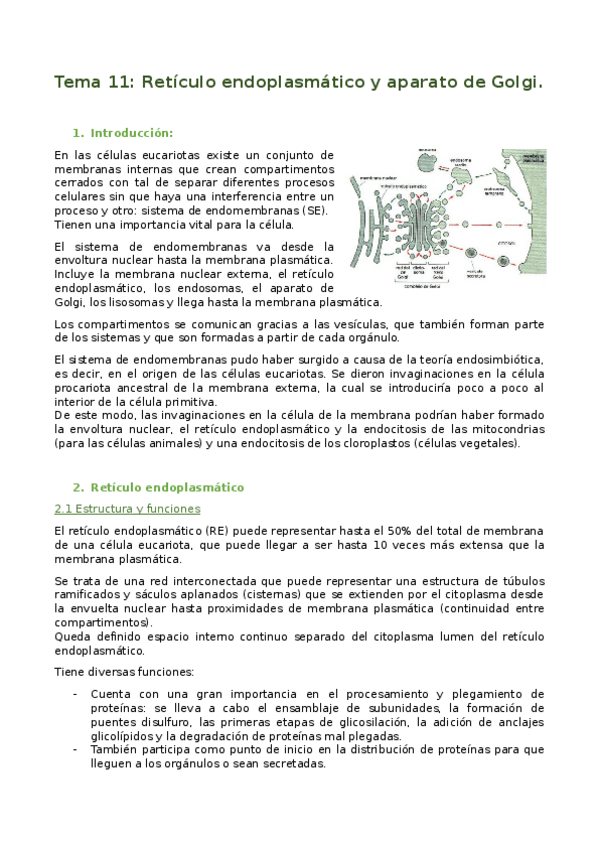 Miniatura del documento Tema-11.-RETICULO-ENDOPLASMATICO-Y-APARATO-DE-GOLGI.docx