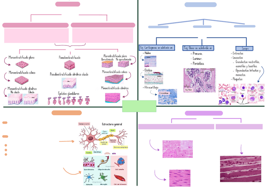 Miniatura del documento Esquemas-tejidos.pdf