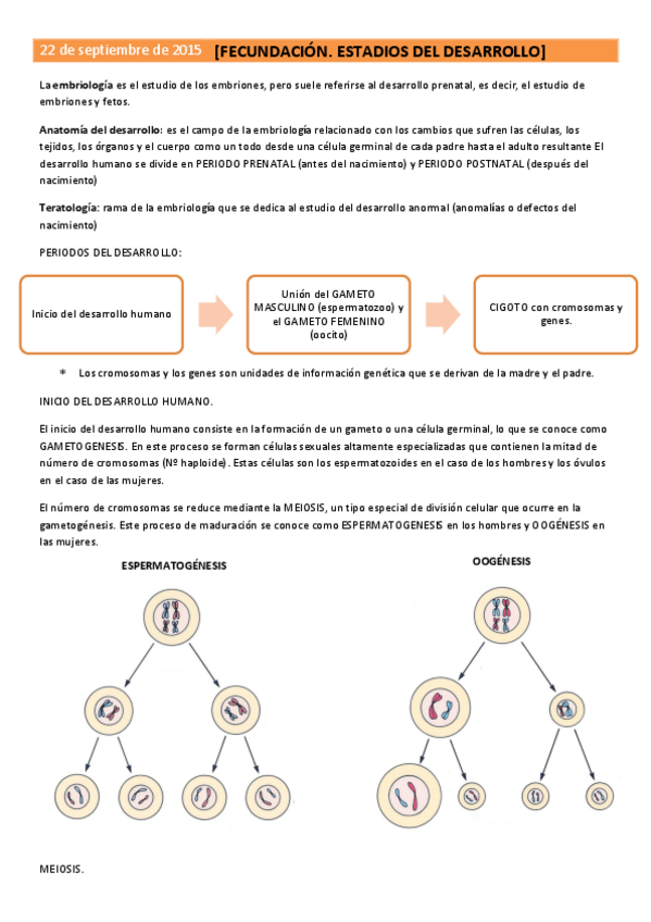 Miniatura del documento TEMA 2. FECUNDACIÓN.pdf