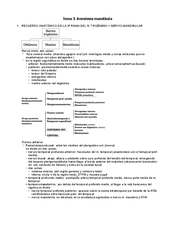 Miniatura del documento tema-3-ciru-1.pdf