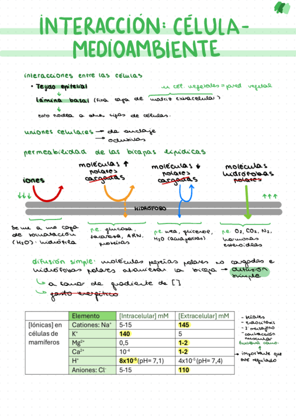 Miniatura del documento T3.-Interaccion-Celula-Medioambiente.pdf