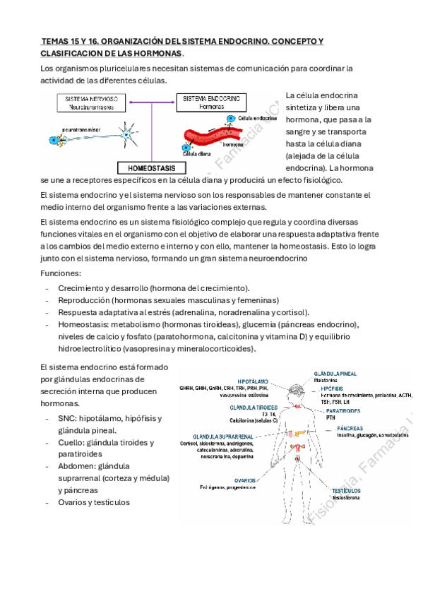 Miniatura del documento Apuntes-segundo-cuatri-202-25.pdf