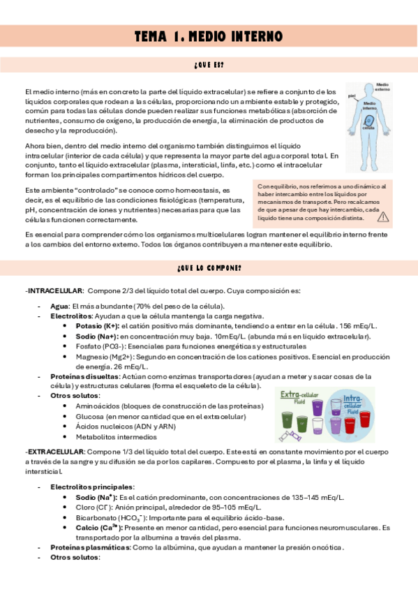 Miniatura del documento T1.-El-medio-interno.pdf