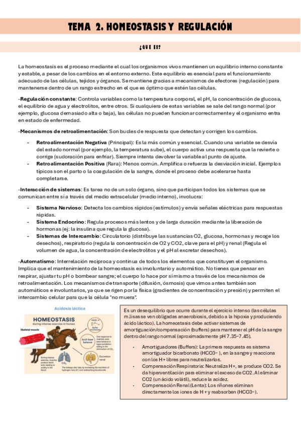 Miniatura del documento T2.-Homeostasis.pdf
