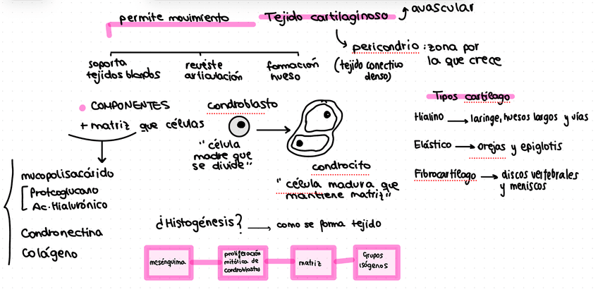 Miniatura del documento IMG2893.jpeg