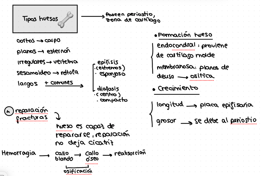 Miniatura del documento IMG2895.jpeg
