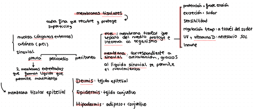 Miniatura del documento IMG2896.jpeg
