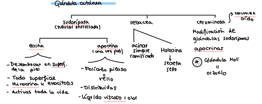 Miniatura del documento IMG2902.jpeg