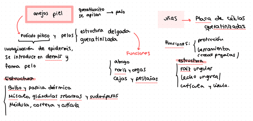 Miniatura del documento IMG2903.jpeg