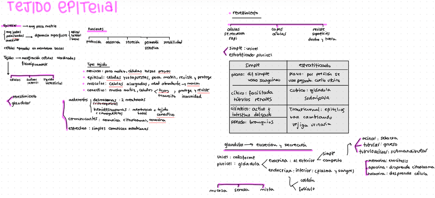 Miniatura del documento IMG2905.jpeg